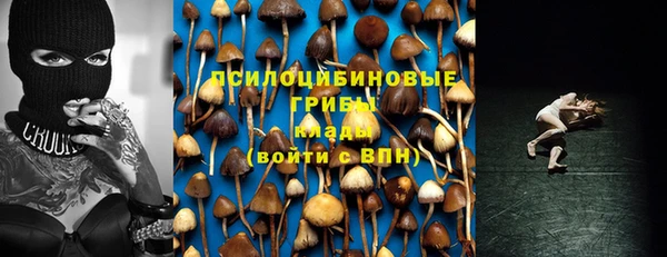 амф Абинск