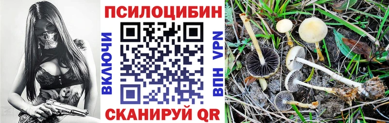 kraken сайт Темрюк Галлюциногенные грибы мухоморы