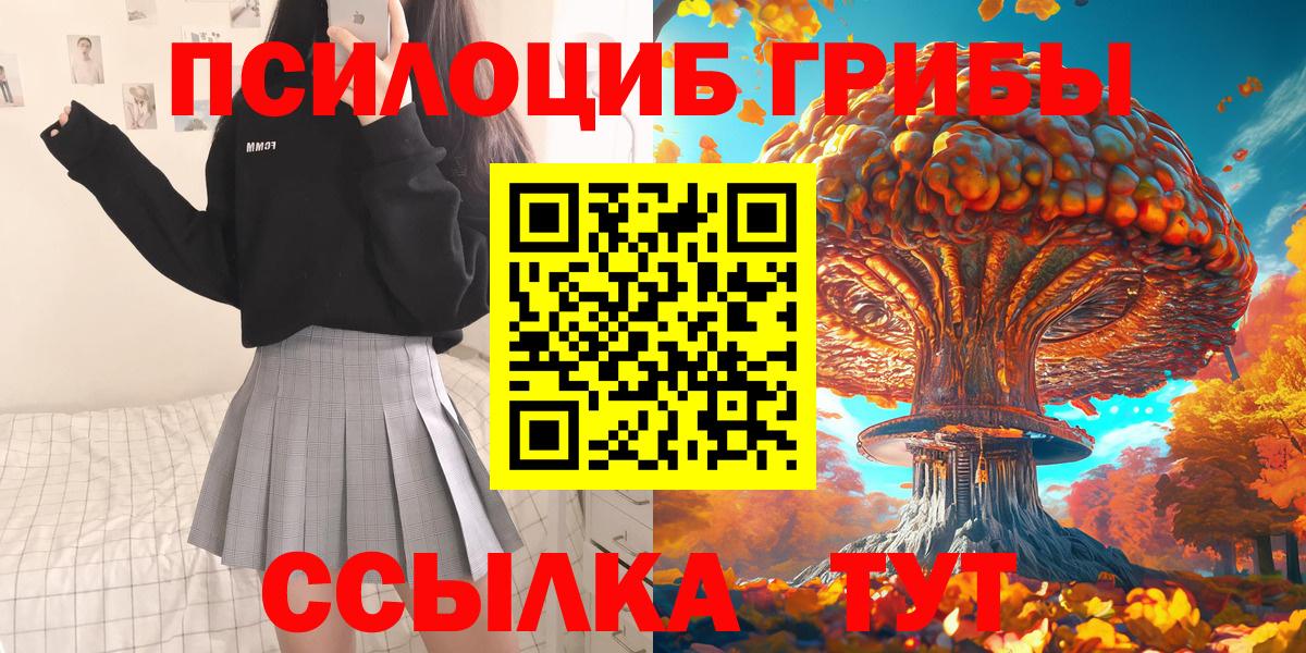 Галлюциногенные грибы прущие грибы  где продают наркотики  Вход с VPN  Темрюк  Галлюциногенные грибы мицелий 